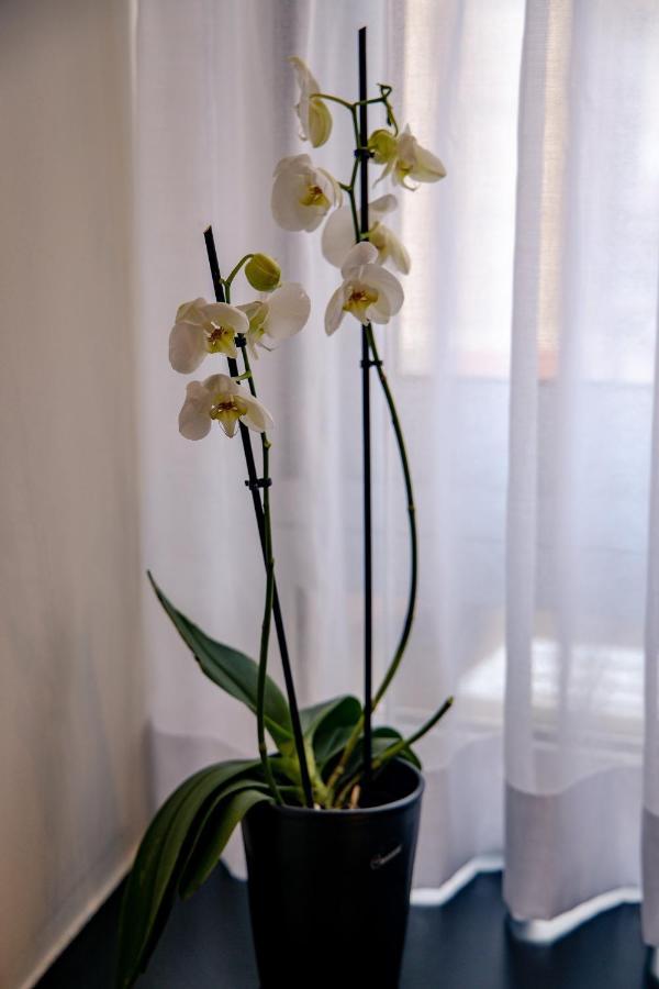 Triple A - Prime Location - Between Monastiraki & Syntagma Square-Free Parking! Athen Eksteriør bilde